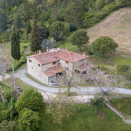 Fattoria Di Cintoia Villa Pontassieve Buitenkant foto