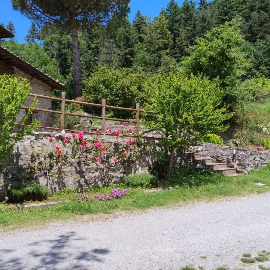 Fattoria Di Cintoia Villa Pontassieve Buitenkant foto