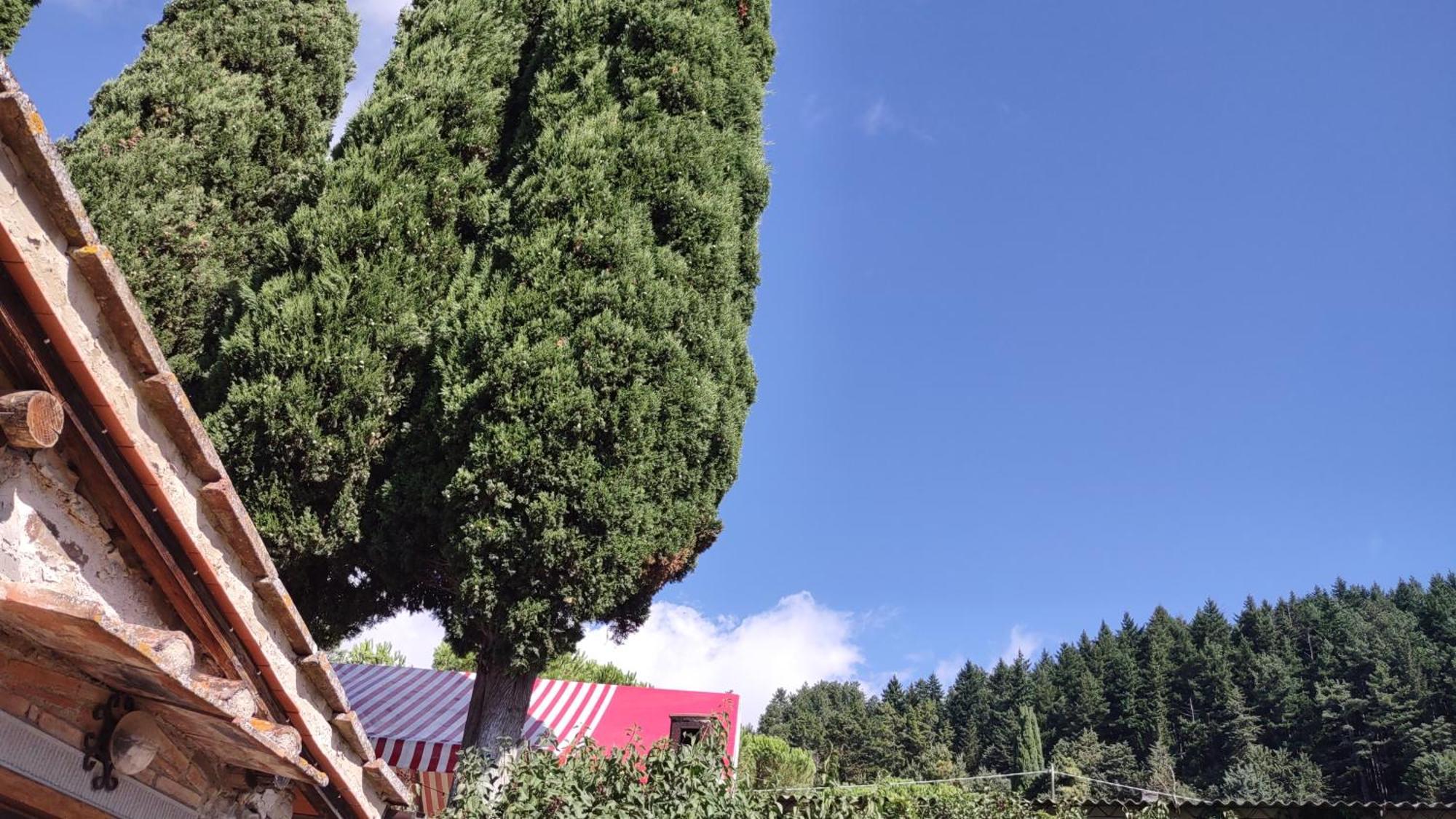 Fattoria Di Cintoia Villa Pontassieve Buitenkant foto