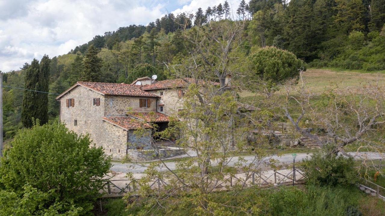 Fattoria Di Cintoia Villa Pontassieve Buitenkant foto